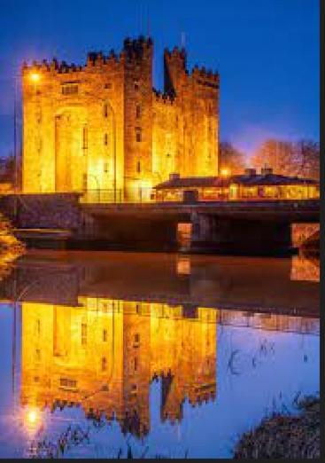 Вилла Bunratty Castle Gardens Экстерьер фото